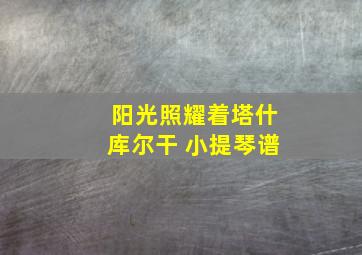 阳光照耀着塔什库尔干 小提琴谱